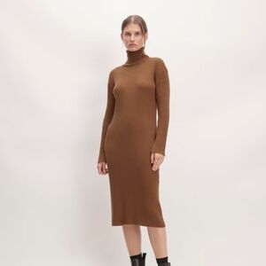 Everlane new turtleneck ribbed sweater dress